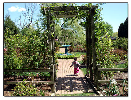 Boothe Park rose garden